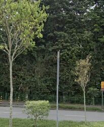 Caldecott Hill Estate (D11), Detached #616483091
